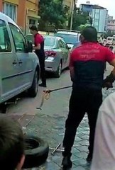 Araca giren yılan zor anlar yaşattı