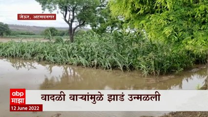 Ahmednagar Rain: अहमदनगर जिल्ह्यात मान्सूनची जोरदार हजेरी
