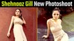 स्मोकी आइस और न्यूड मेकअप कर Shehnaaz Gill ने दिए Hot पोज, Photos हुए Viral