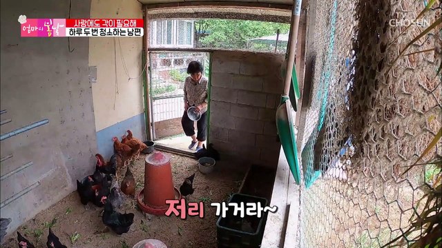 청소가 행복한 남편! 엄마의 살림도 조사는 필수?! TV CHOSUN 20220612 방송