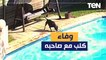 كلب ينقذ صاحبه بعد الوقوع في حمام سباحة كاد أن يغرق