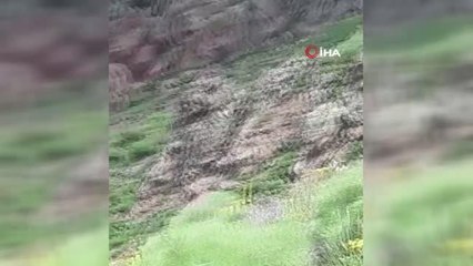 Vatandaşın ayı ile gülümseten diyaloğu kamerada