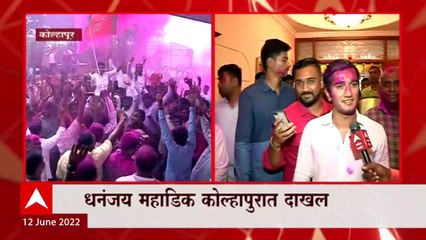 Kolhapur Dhananjay Mahadik: महाडीक यांच्या विजयानंतर शिरोलीत उत्साहाचं वातावरण ABP Majha