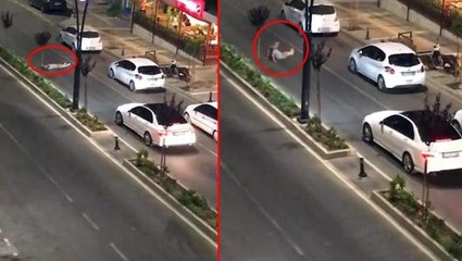 Caddenin ortasına yattı, trafiğe engel oldu! Alkollü şahsın o anları pes dedirtti