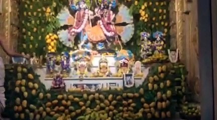 जयपुर में पानीहाटी चिड़ा दही उत्सव, 1500 आमों की सजी झांकी