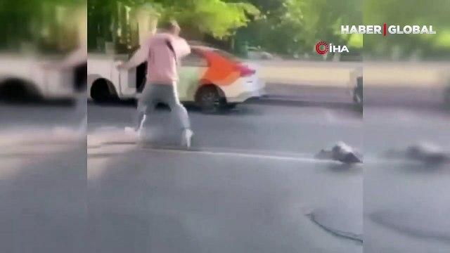 Anne ördek, yavrularının fotoğrafını çekmek isteyen kişiyi metrelerce kovaladı