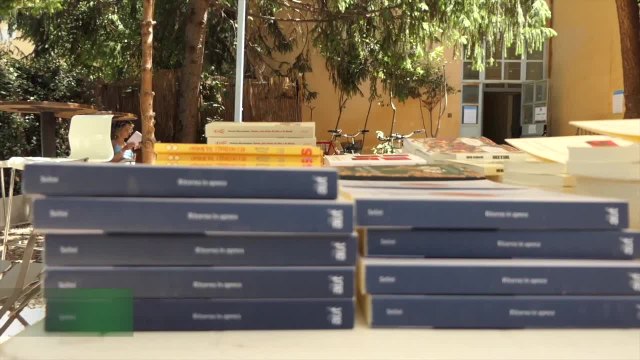 Ritorno in Apnea , il diario del Covid dalla sua Bergamo di Anna Maria Selini