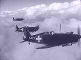 Flieger-Grenzverletzung [Aircraft-border violation] 1943