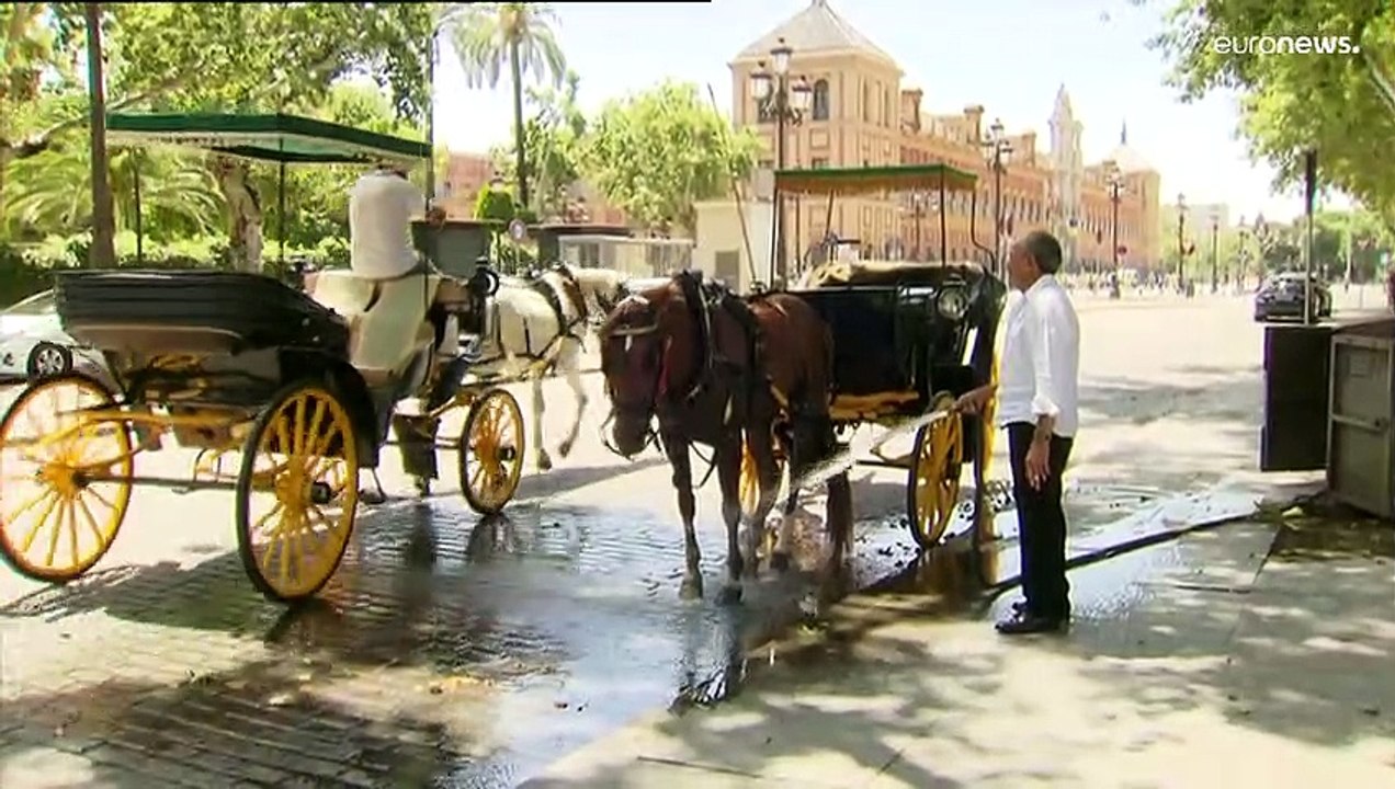 España | Temperaturas extremas en Sevilla: hasta 45 grados esta semana