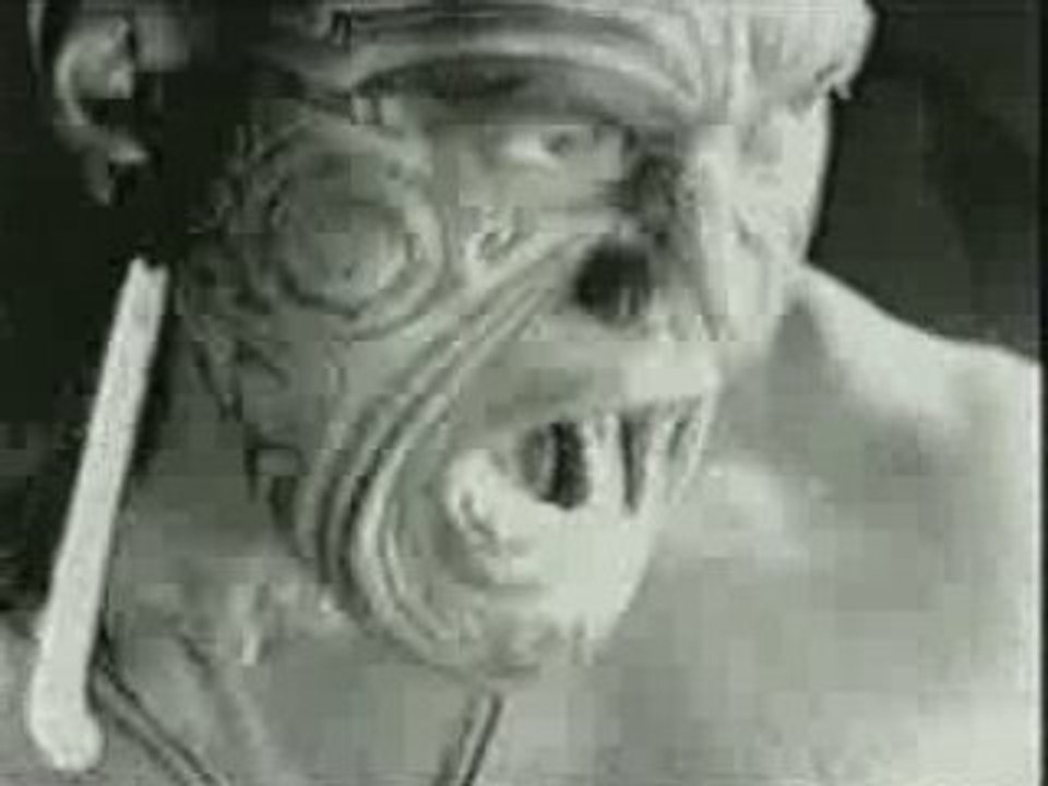 Rugby - haka - pub adidas