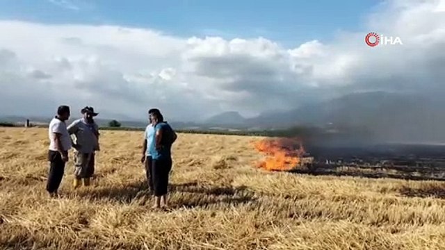 Buğday tarlası alev alev yandı, çiftçi mahsulü hasat ederek kurtarmaya çalıştı