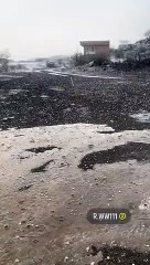 - - بردية وادي مرفوض جنوب شرق الطايف الآن اليوم الأحد 14431113 - بندر الجعيد