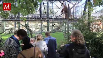 Captan extraña figura fuera de un zoológico en EU; piden ayuda para identificarla