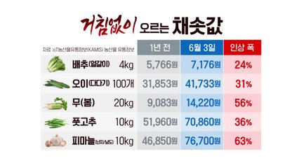 '가뭄 후폭풍' 밭작물 가격 '들썩'...공장 중단 '우려' / YTN