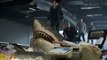 Bait 3D - Haie im Supermarkt - Exklusive Szene: Erste Begegnung mit dem Hai