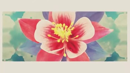 Zapukaj do moich drzwi - odc.120