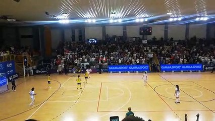 Calcio a 5 femminile, Falconara campione d'Italia