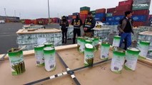 Perú confisca dos toneladas de cocaína camuflada en latas de espárragos