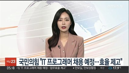 국민의힘 "IT 프로그래머 채용 예정…효율 제고"