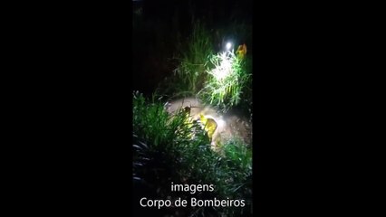 Vídeo: bombeiros resgatam homem escondido em esgoto após imaginar perseguição