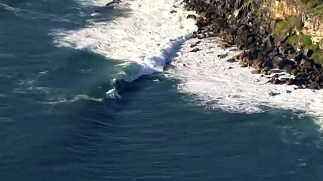 Beaches on NSW coast battered by strong winds and big surf