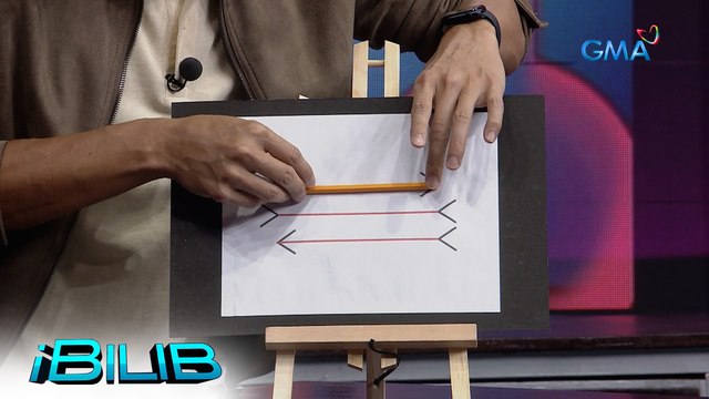 iBilib: Arrow illusion picture puzzle