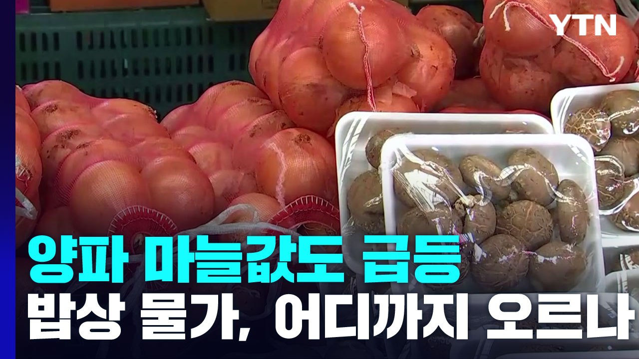 양파·마늘값도 급등...끝도 없이 치솟는 밥상 물가 / YTN