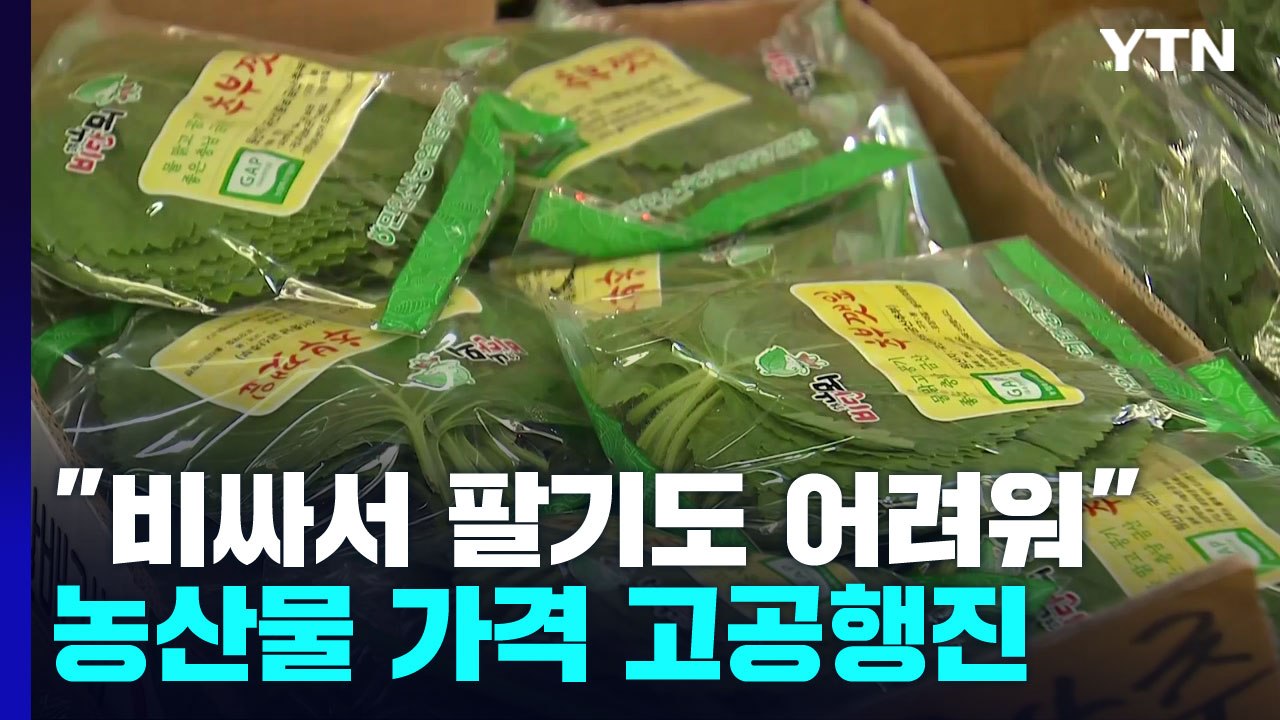 "비싸서 팔기도 어려워"...끝도 없이 치솟는 농산물 물가 / YTN