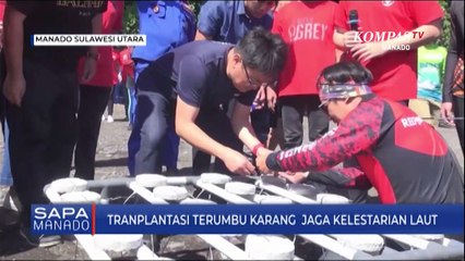 Tranplantasi Terumbu Karang  Jaga Kelestarian Laut