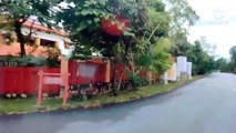 dangdut koplo terbaru 2021 full bass (no copyright)vlog musik