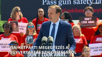 USA: kétpárti megegyezés a fegyvertartás apróbb szigorításáról