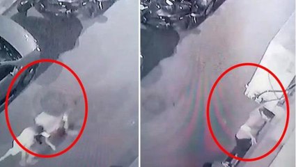 Ev sahibine yakalanan hırsız "Ne yapıyorsun" sorusuna "Çay içmeye geldim" diye cevap verince dayak yedi