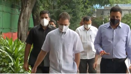 Rahul Gandhi :राहुल गाँधी की ED पेशी पर शांतिपूर्ण तरीके से करेंगे विरोध प्रदर्शन - कांन्ग्रेस नेता