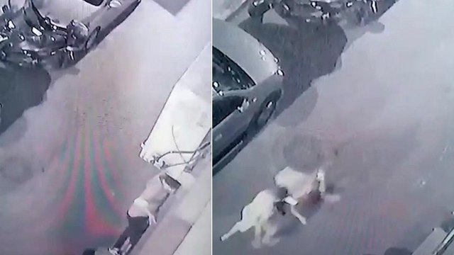 Bayrampaşa’daki pişkin hırsız yakalanınca Çay içmeye geldim dedi