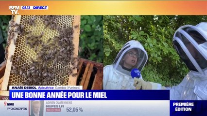 Download Video: Pourquoi la récolte de miel s'annonce abondante cette année