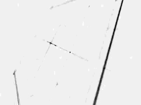 Cricket match : क्रिकेट मैच में खूब लगे चौके-छक्के, अड़ीला की टीम ने मारी बाजी . Video