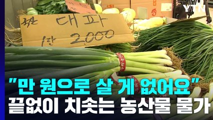 "만 원으로 살 게 없어요"...끝없이 치솟는 농산물 물가 / YTN