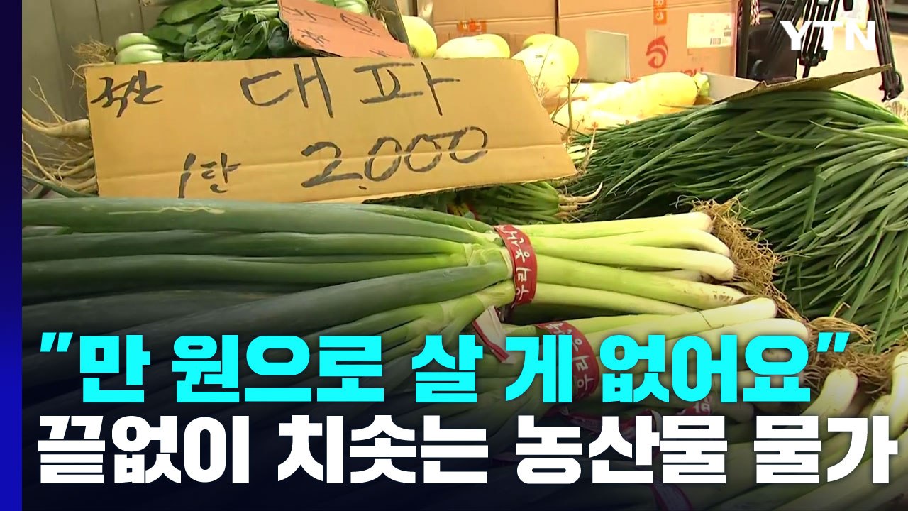 "만 원으로 살 게 없어요"...끝없이 치솟는 농산물 물가 / YTN