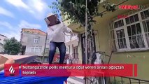 Sultangazi'de polis memuru oğul veren arıları ağaçtan topladı