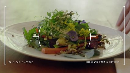 Curious Robot, TA-M, tours South of Scotland