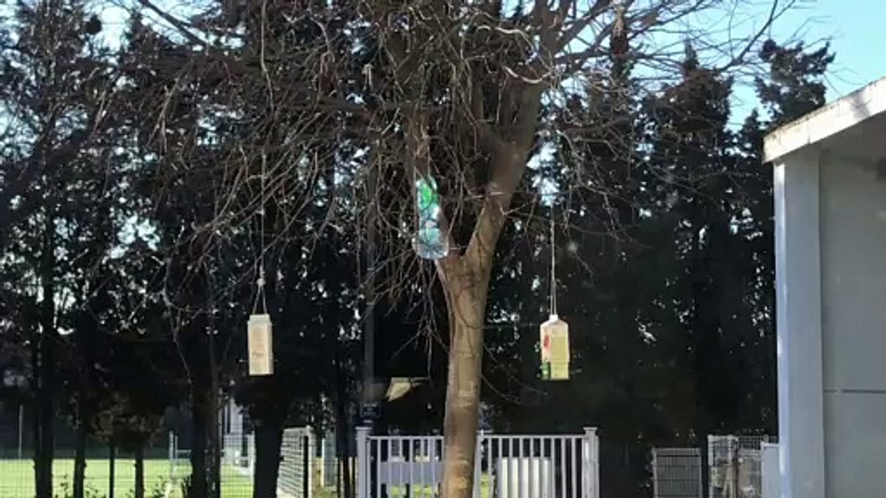 Défi « Biodiversité 2021-2022» – Ecole Vertes Rives B de Monfavet – Avignon (Classe CP CE1)
