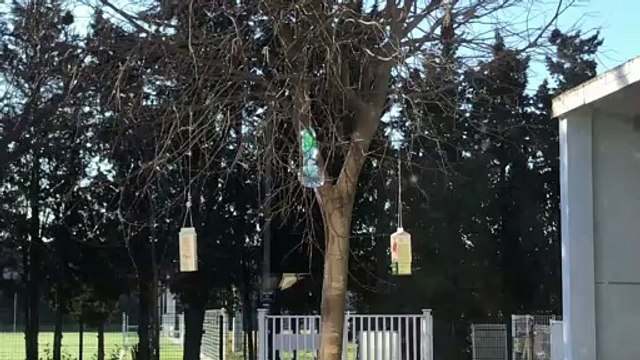 Défi « Biodiversité 2021-2022» – Ecole Vertes Rives B de Monfavet – Avignon (Classe CP CE1)