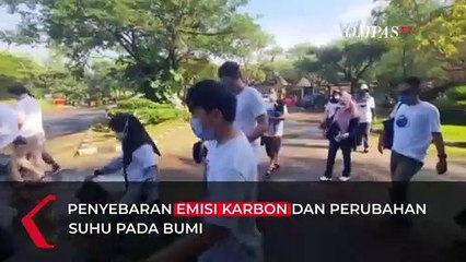 Mantap! Milenial Bersih-Bersih Pantai dan Tanam 1.000 Mangrove di Surabaya