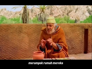 Kisah persahabatan gadis dan kuda ajaib