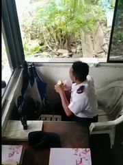 Vidio lucu  #shorts #short #memes #memes #thuglife
