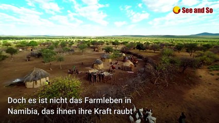 200 Kilometer in den Kindergarten: Leben in Namibia bringt "Bauer sucht Frau"-Stars Gerald und Anna an ihre Grenzen