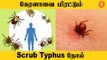 Scrub Typhus நோயால் 2 பேர் பலி.. Kerala-வில் என்ன நடக்கிறது? *India