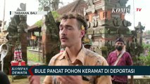 Bule Panjat Pohon Keramat Dideportasi