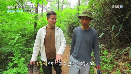 한국기행 - Korea travel_친애하는 나의 숲 1부- 감성 사용 설명서_#002
