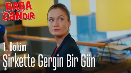 Şirkette gergin bir gün - Baba Candır 1. Bölüm